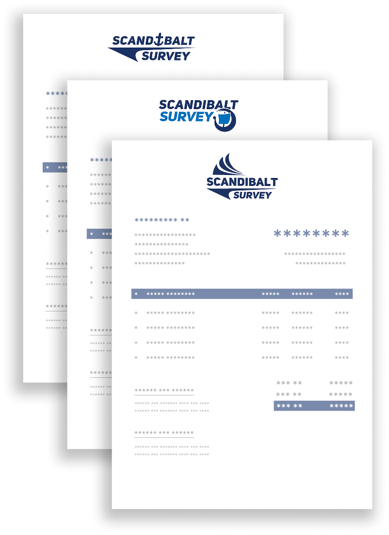 ScandiBalt Survey document and logo design mockups